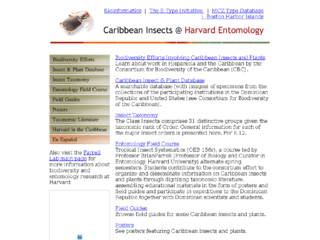 Thumbnail for Caribbean Insects @ Harvard Entomology: Insect and Plant Database