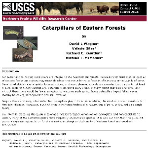 Thumbnail for Caterpillars of Eastern Forests