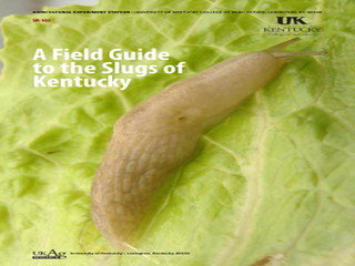 Thumbnail for A Field Guide to the Slugs of Kentucky