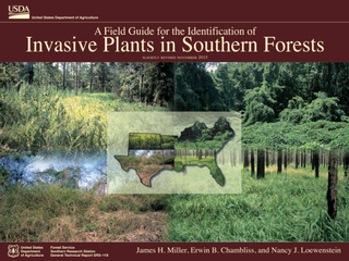 Thumbnail for A Field Guide for the Identification of Invasive Plants in Southern Forests