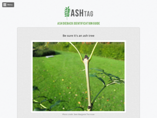 Thumbnail for Living Ash Project