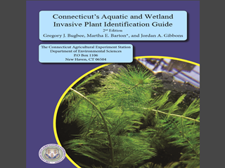Thumbnail for Connecticut's Invasive Aquatic and Wetland Plants Identification Guide: 2nd Edition