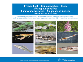 Thumbnail for Field Guide to Aquatic Invasive Species 3rd Edition - Identification, Collection, and Reporting of Aquatic Invasive Species in Ontario Waters