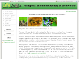 Thumbnail for Anothophila - An Online Repository of Bee Diversity