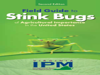 Thumbnail for Field Guide to Stink Bugs of Agricultural Importance in the Upper Southern Region and Mid-Atlantic States (United States)