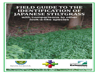 Thumbnail for Field Guide to the Identification of Japanese Stiltgrass: With Comparisons to Other Look-a-like Species