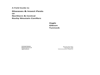 Thumbnail for A Field Guide to Diseases and Insect Pests of Northern and Central Rocky Mountain Conifers