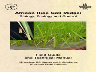 Thumbnail for African Rice Gall Midge: Biology, Ecology and Control Field Guide and Technical Manual