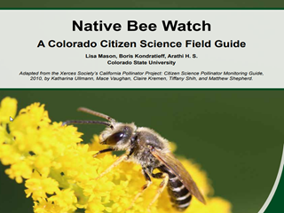 Thumbnail for Native Bee Watch - A Colorado Citizen Science Field Guide