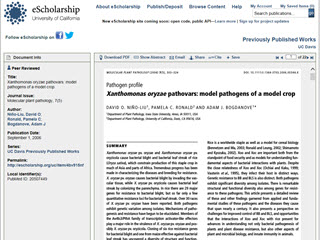 Pathogen Profile - Xanthomonas oryzae pathovars: Model Pathogens of a Model Crop