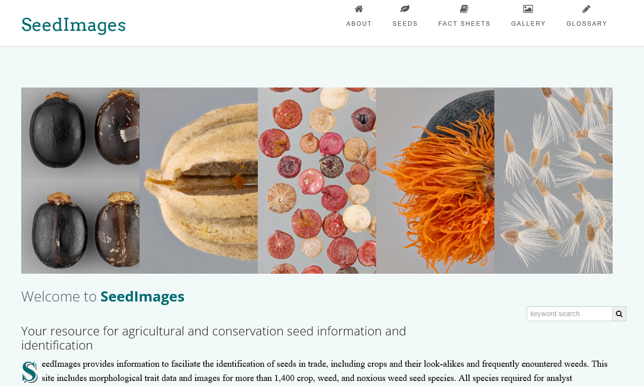 SeedImages home page