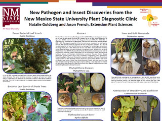 New Pathogen and Insect Discoveries from the New Mexico State University Plant Diagnostic Clinic