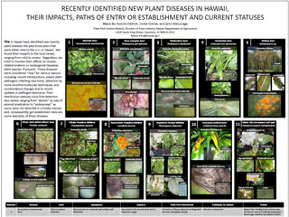 Recently Identified New Plant Diseases in Hawaii, Their Impacts, Paths of Entry or Establishment and Current Statuses