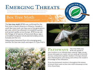 Emerging Threats: Box Tree Moth - Cydalima perspectalis