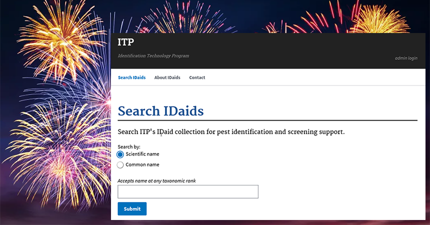 Search IDaids search page with fireworks in background