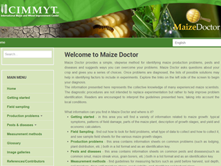 Doctor Maiz (Maize Doctor)
