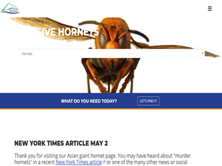 Asian Giant Hornet Response
