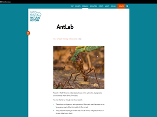 SI AntLab: Smithsonian Ant Type Specimen Database