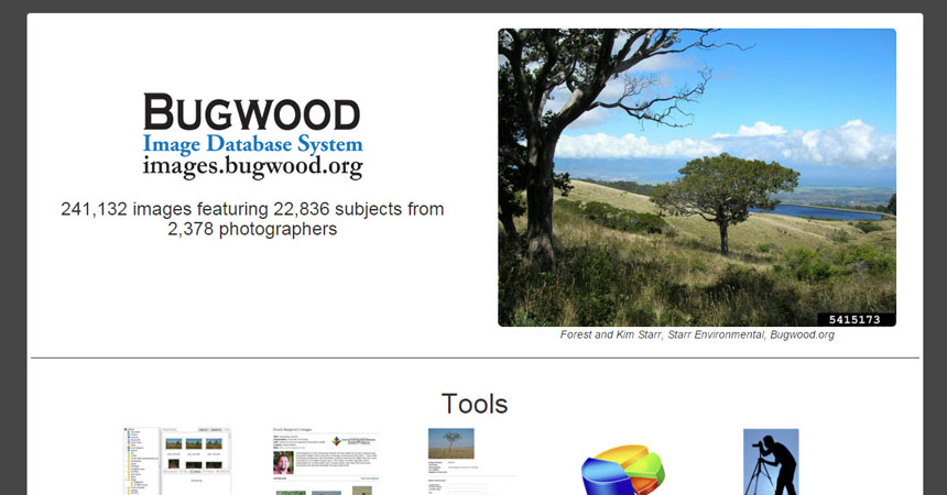 A new Bugwood Images