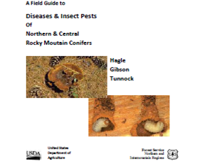A Field Guide to Diseases & Insect Pests of Northern & Central Rocky Mountain Conifers