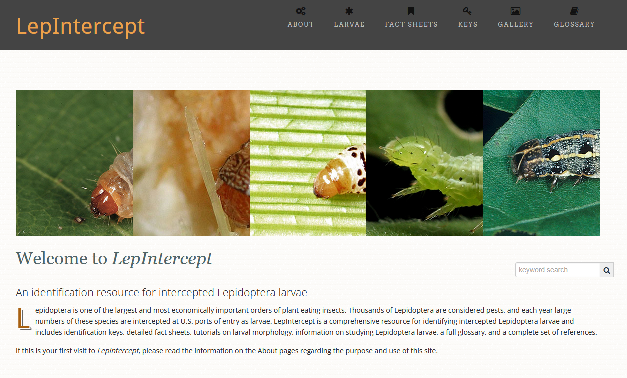 LepIntercept home page LepIntercept home page