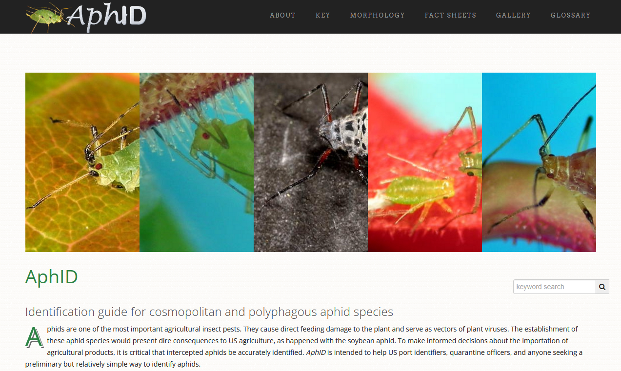 AphID homepage
