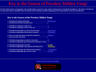 Key to the Genera of Powdery Mildew Fungi