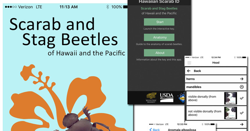 Hawaiian Scarab ID Lucid Mobile app released