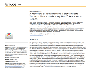 A New Israeli Tobamovirus Isolate Infects Tomato Plants Harboring Tm-2 Resistance Genes