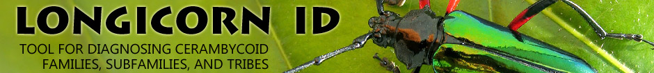 Longicorn ID: Tool for Diagnosing Cerambycidae Subfamilies and Tribes