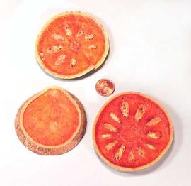  several fruit slices; photo © The Lebermuth Company, Inc. 
