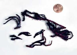  small   branchlets, dyed purple; photo © The Lebermuth Company, Inc. 
