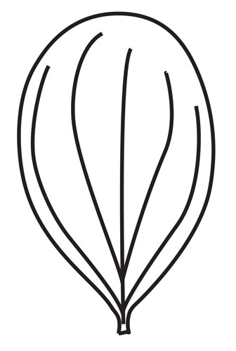 round leaf