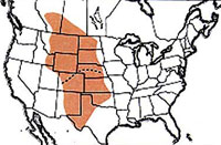 Geographic range of  Aeoloplides turnbulli  (Thomas)
