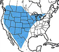  Geographic range of  Arphia pseudonietana  (Thomas) 