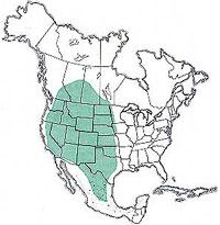  Geographic range of  Aulocara elliotti  (Thomas) 