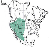  Geographic range of  Aulocara femoratum  Scudder 