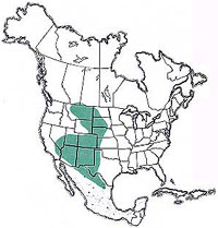  Geographic range of  Cordillacris crenulata  (Bruner) 