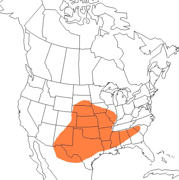  Geographic range of  Campylacantha olivacea  (Scudder) 