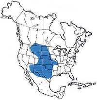  Geographic range of  Hadrotettix trifasciatus  (Say) 