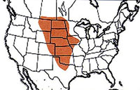  Geographic range of  Hypochlora alba  (Dodge) 