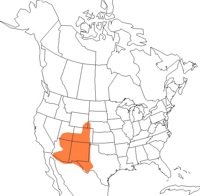  Geographic range of  Heliaula rufa  (Scudder) 