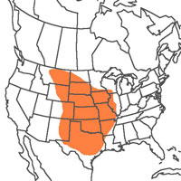  Geographic range of  Hesperotettix speciosus  (Scudder) 