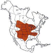  Geographic range of  Melanoplus angustipennis  (Dodge) 