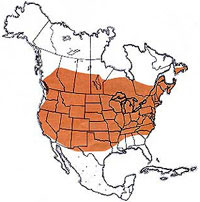 Geographic range of  Melanoplus bivittatus  (Say) 