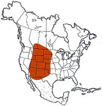  Geographic range of  Melanoplus bowditchi  Scudder 