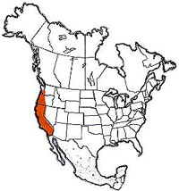  Geographic range of  Melanoplus devastator  Scudder 