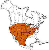  Geographic range of  Melanoplus differentialis  (Thomas) 