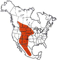  Geographic range of  Melanoplus gladstoni  Scudder 
