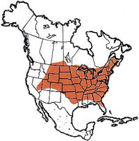  Geographic range of  Melanoplus keeleri  (Thomas) 
